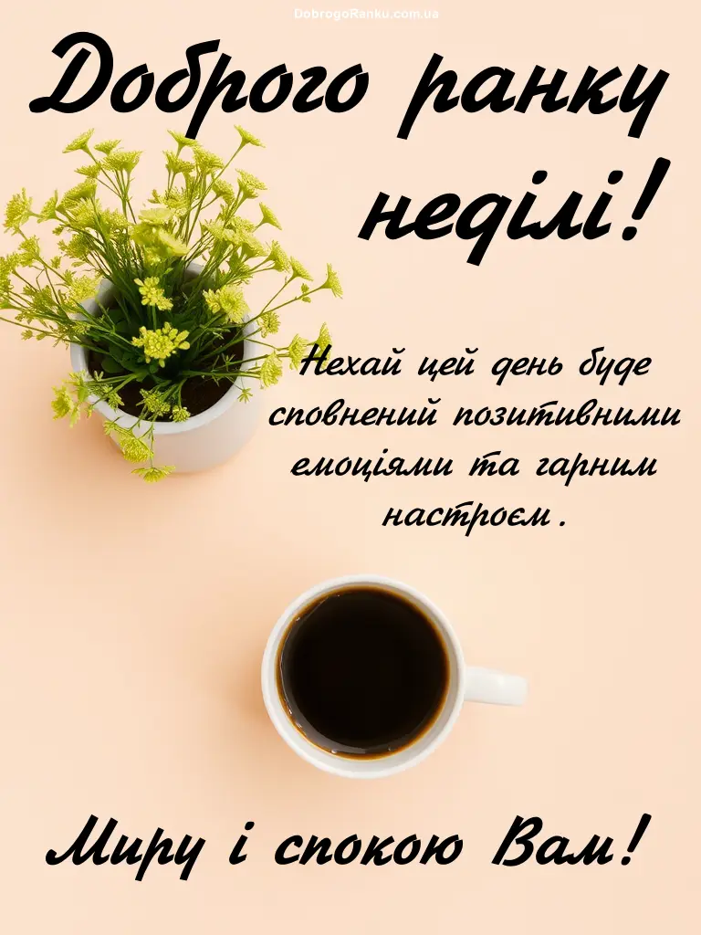 Смішні картинки на неділю